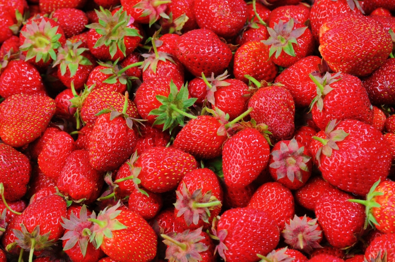 primeur-PUGET SUR ARGENS-min_strawberries-528791